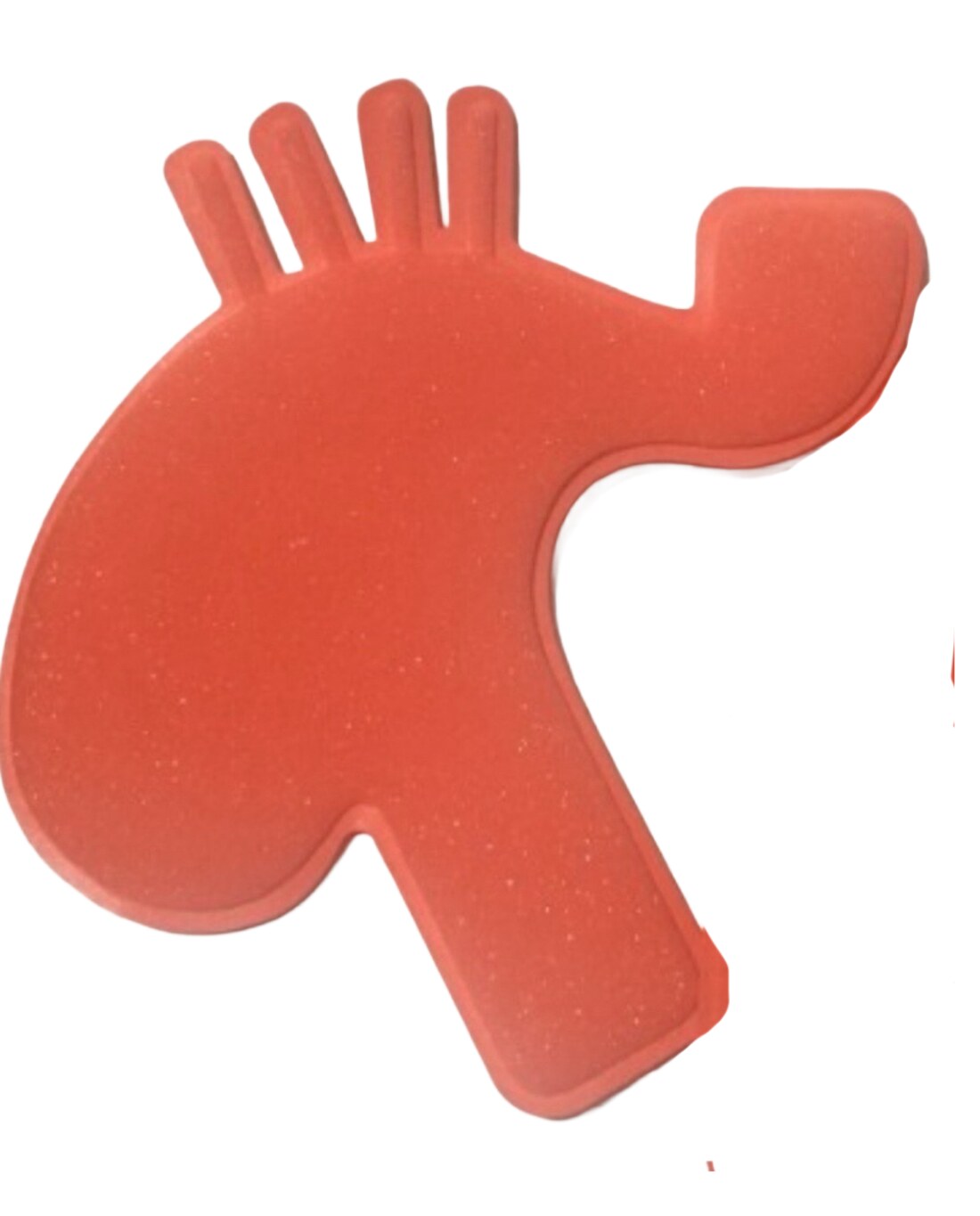 Anatomical model · front view